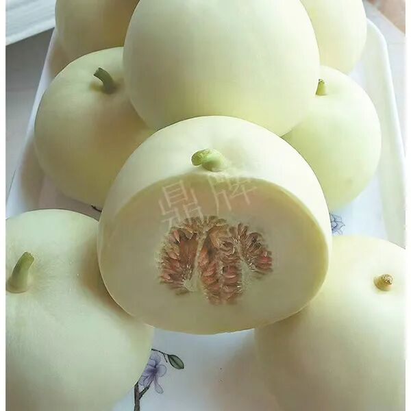 蔬菜種子種植戶種植心得-這個品種幫我留一些，4月份我們當地還要種一批